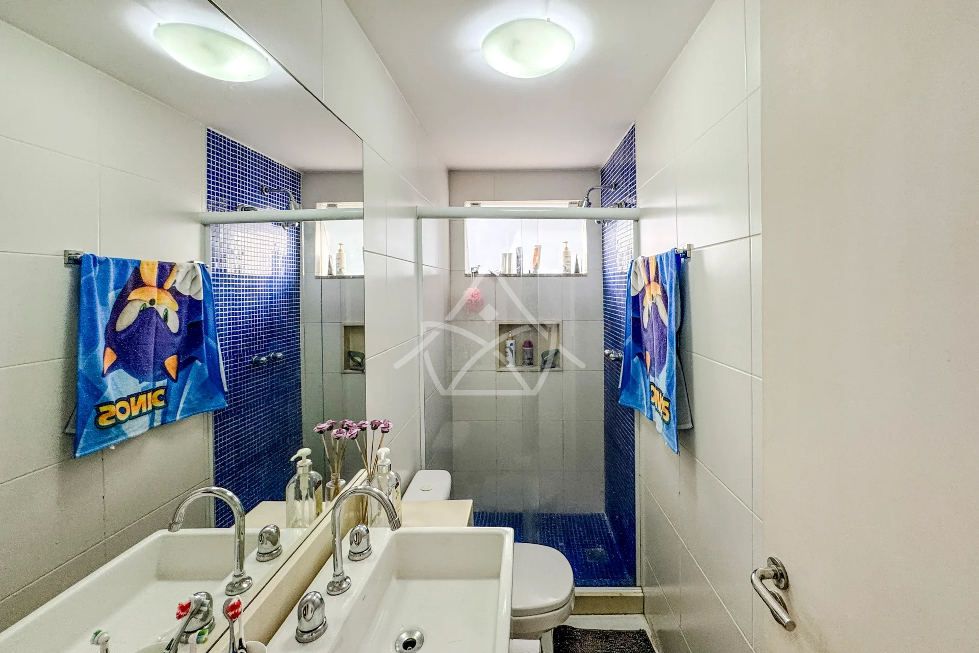 Casa com Poço Artesiano no Recreio dos Bandeirantes